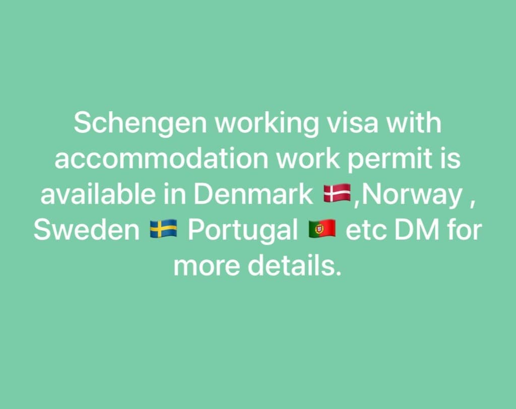 Schengen Working Visa — EU Jobs flyer